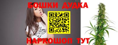 индика Железногорск