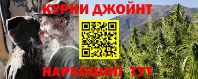 индика Железногорск