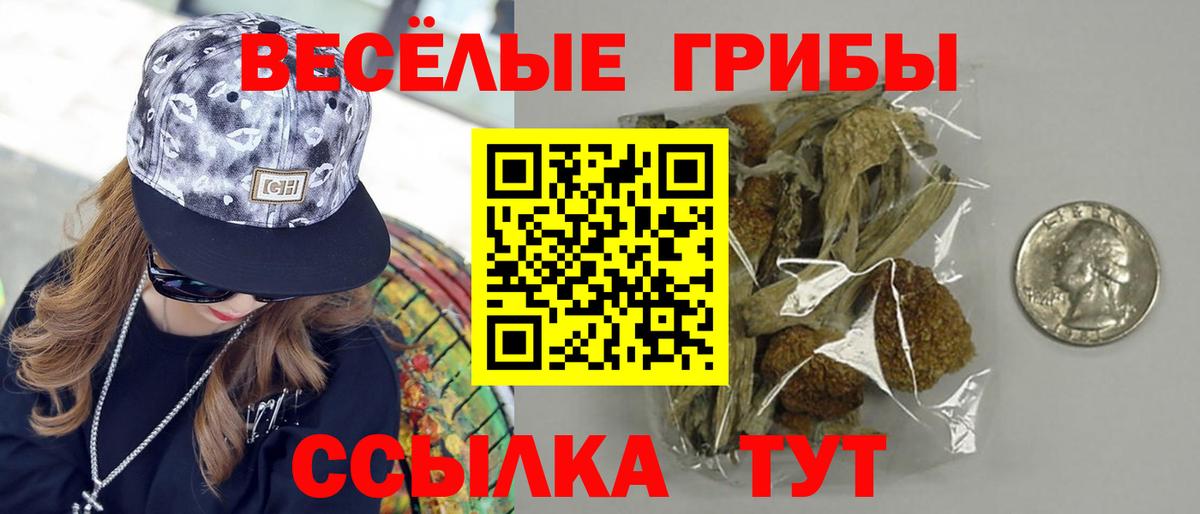 Псилоцибиновые грибы мицелий  Псилоцибиновые грибы MAGIC MUSHROOMS  Вход с VPN  Ульяновск 